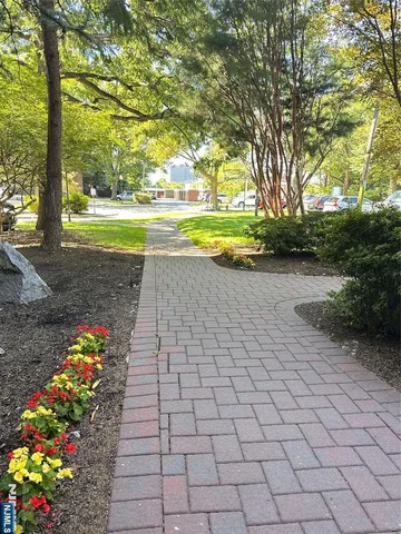 a view of a pathway with a yard