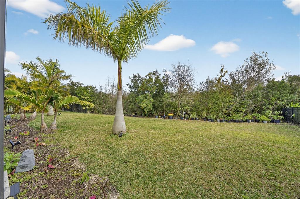 7424 Paradiso Drive Apollo Beach, FL 33572 - Photo 25 of 99