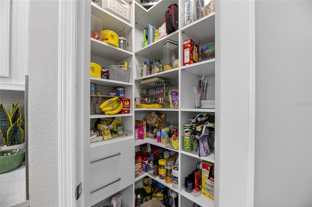 7424 Paradiso Drive Apollo Beach, FL 33572 - Photo 49 of 99