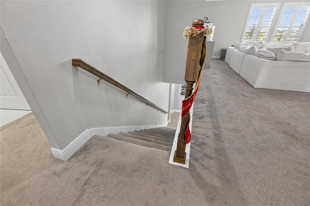 7424 Paradiso Drive Apollo Beach, FL 33572 - Photo 75 of 99