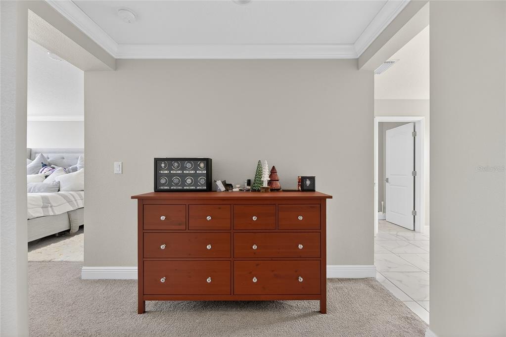 7424 Paradiso Drive Apollo Beach, FL 33572 - Photo 92 of 99 a room with a dresser and a mirror