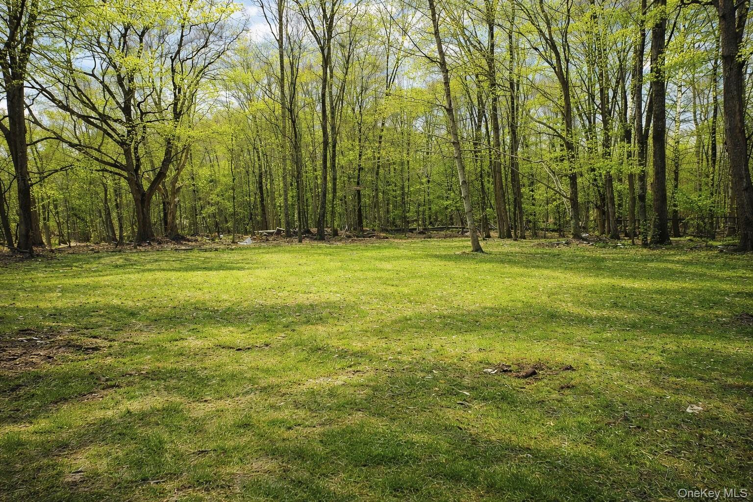 548 Dosen Road Middletown, NY 10940 - Photo 41 of 41 View of green lawn