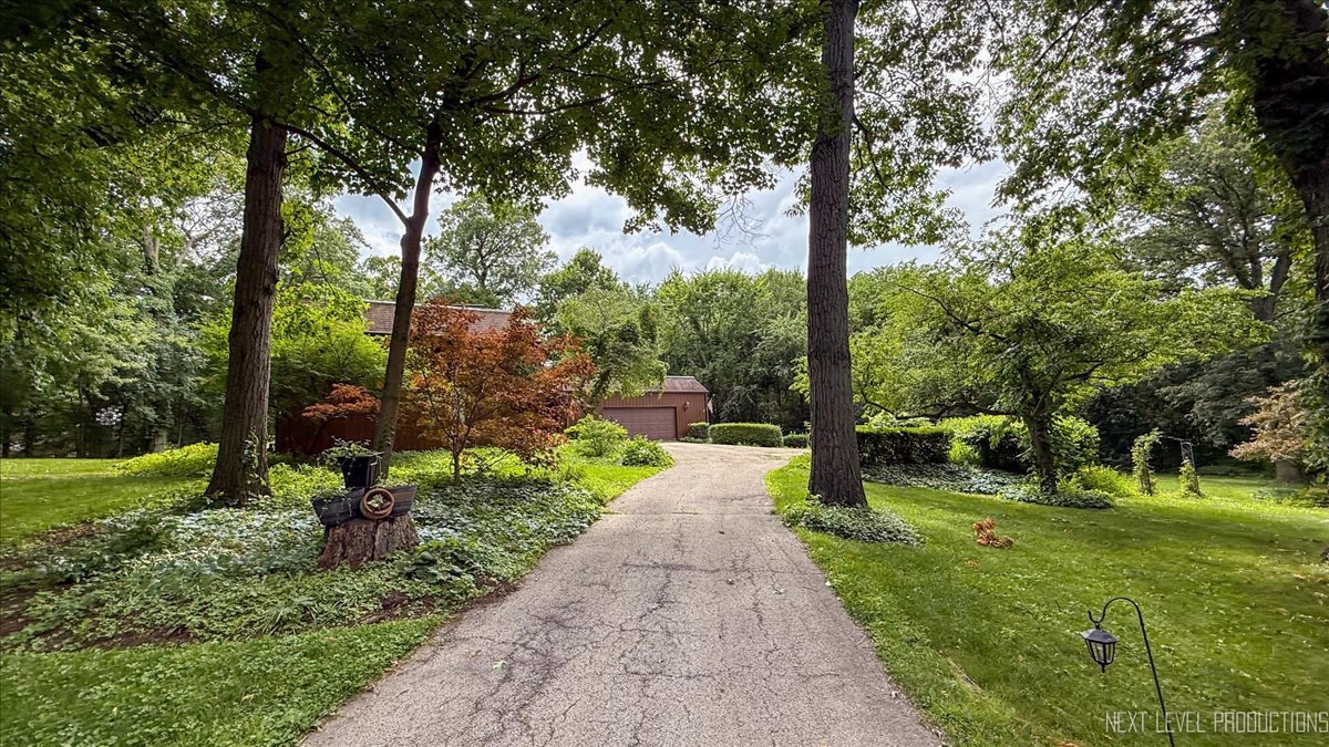 5N380 Ronsu Lane St. Charles, IL 60175 - Photo 2 of 48 a view of a park with large trees