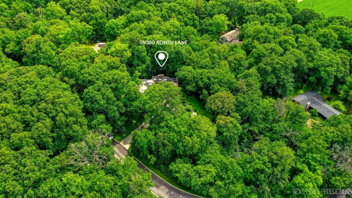 5N380 Ronsu Lane St. Charles, IL 60175 - Photo 38 of 48 a view of a garden