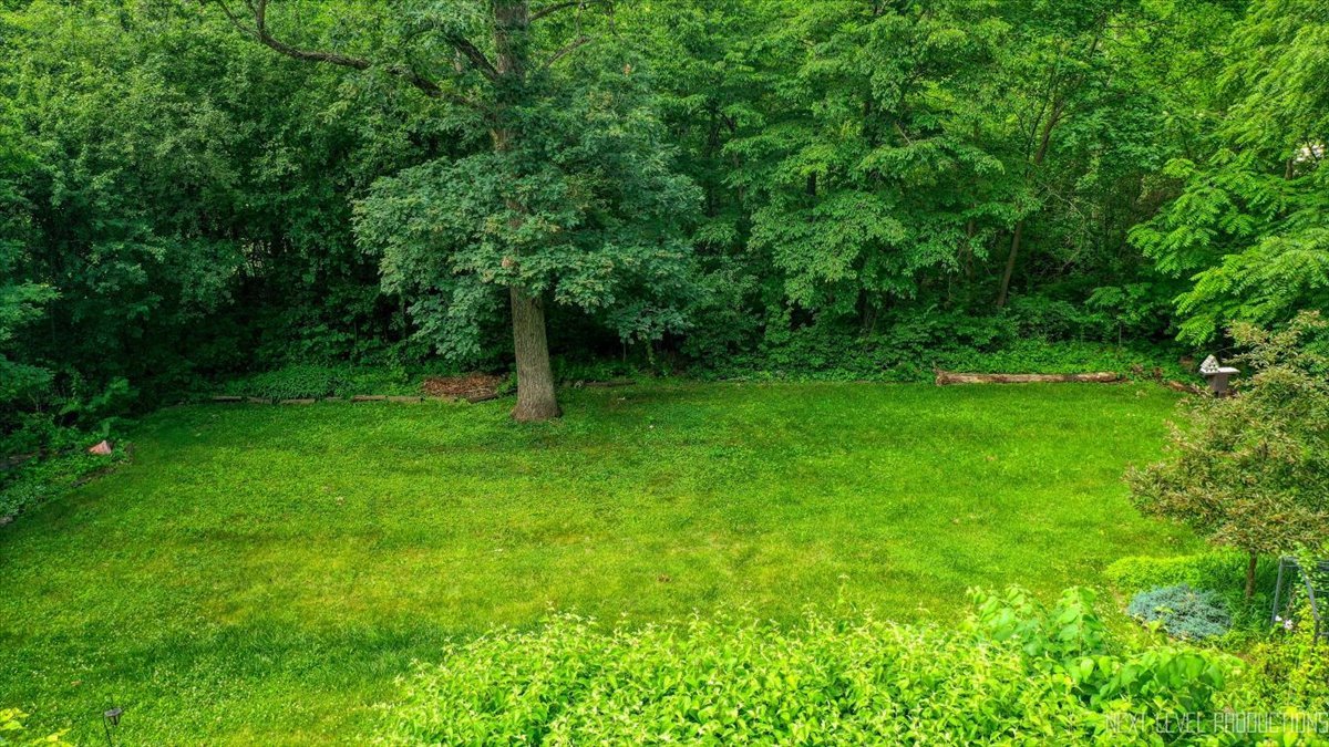 5N380 Ronsu Lane St. Charles, IL 60175 - Photo 40 of 48 a view of a green field with trees