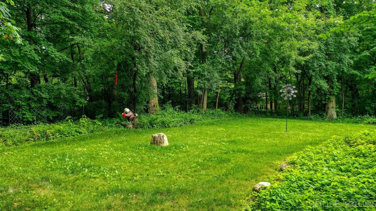 5N380 Ronsu Lane St. Charles, IL 60175 - Photo 41 of 48 a view of a fire pit in a backyard