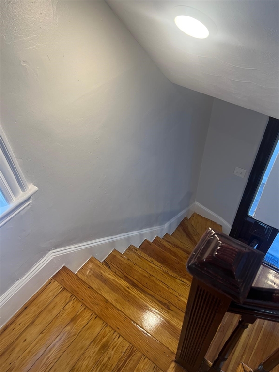 8 Marcy Road Boston, MA 02126 - Photo 14 of 21 Gallery Image 14