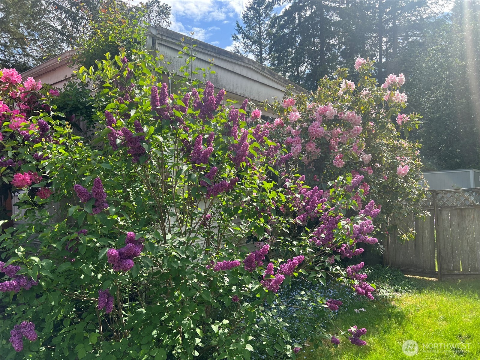 6402 154th Street Northwest, Unit 40 Gig Harbor, WA 98332 - Photo 5 of 23 a picture of flowers