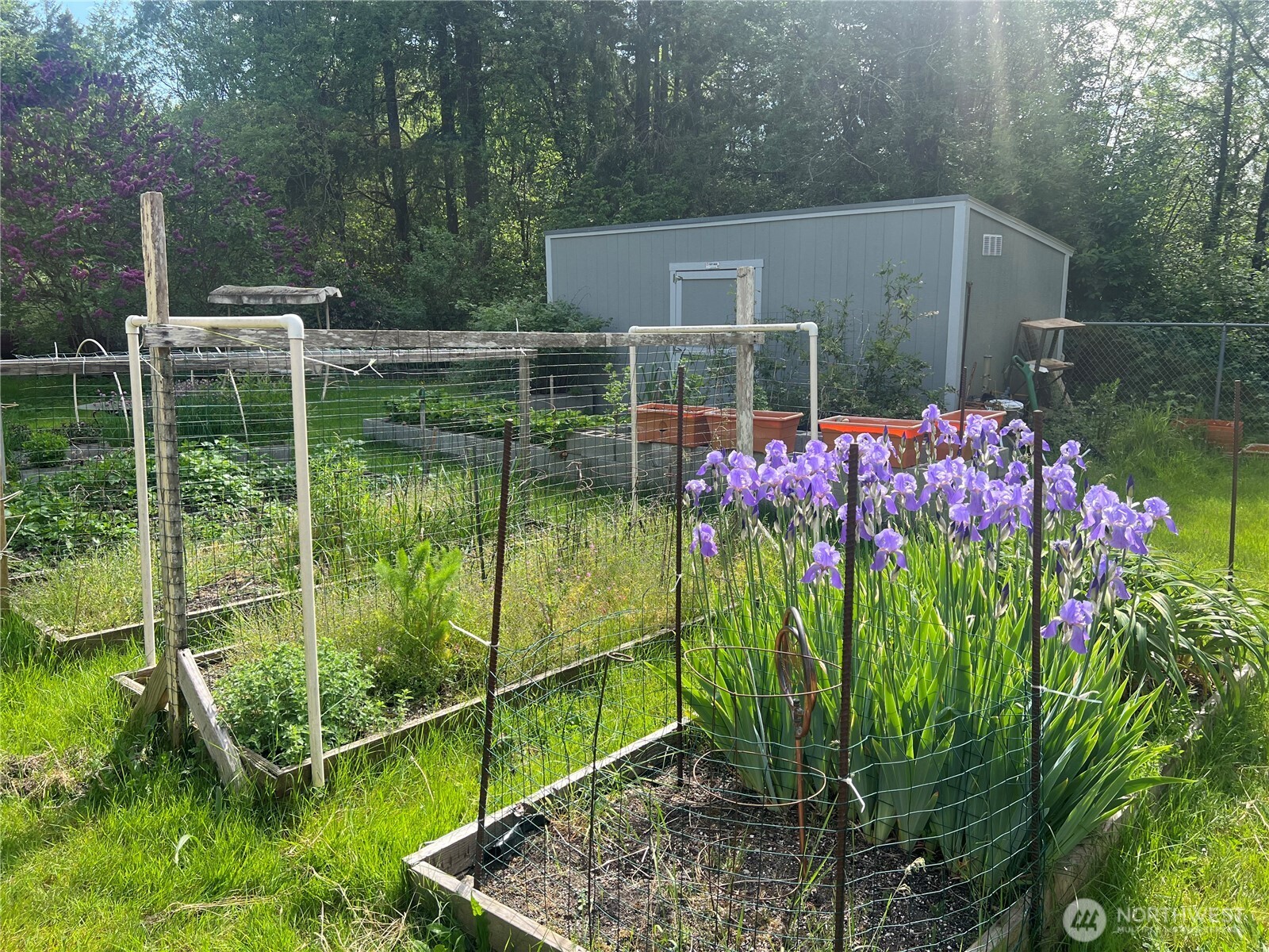 6402 154th Street Northwest, Unit 40 Gig Harbor, WA 98332 - Photo 6 of 23 a view of a backyard with garden