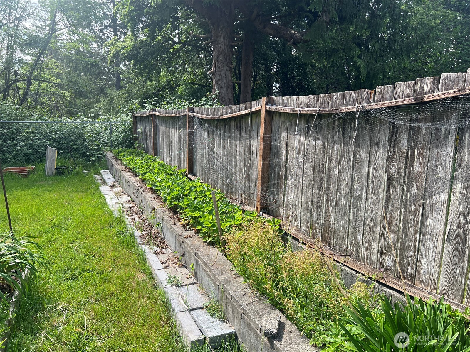 6402 154th Street Northwest, Unit 40 Gig Harbor, WA 98332 - Photo 7 of 23 a view of a back yard with a lake view