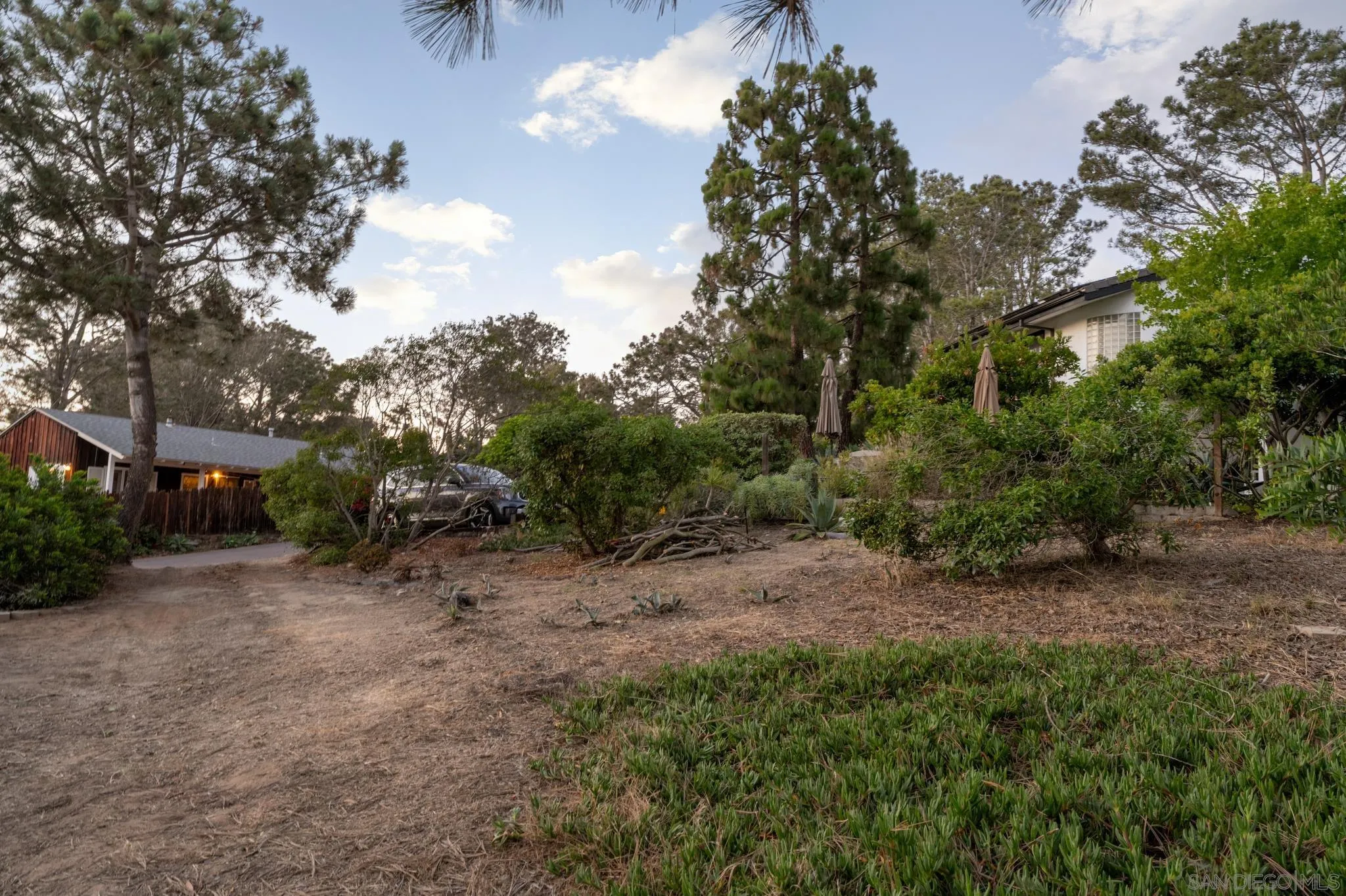 404 Pine Needles Drive Del Mar, CA 92014 - Photo 53 of 71 a big yard with lots of green space
