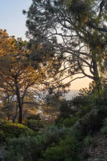 $6,495,000 | 404 Pine Needles Drive, Del Mar, CA 92014