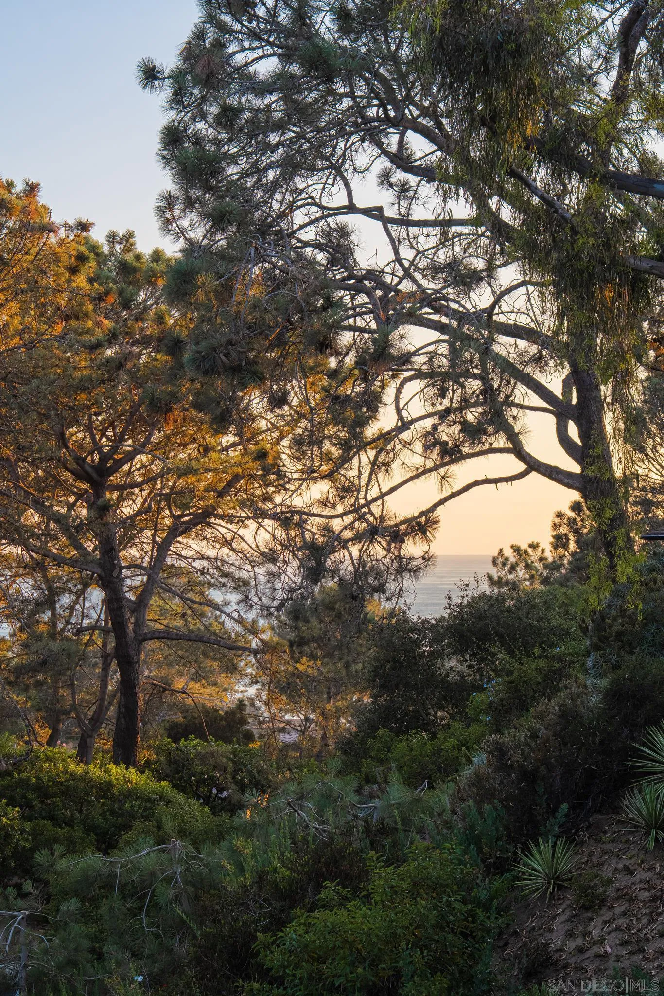 404 Pine Needles Drive Del Mar, CA 92014 - Photo 61 of 71