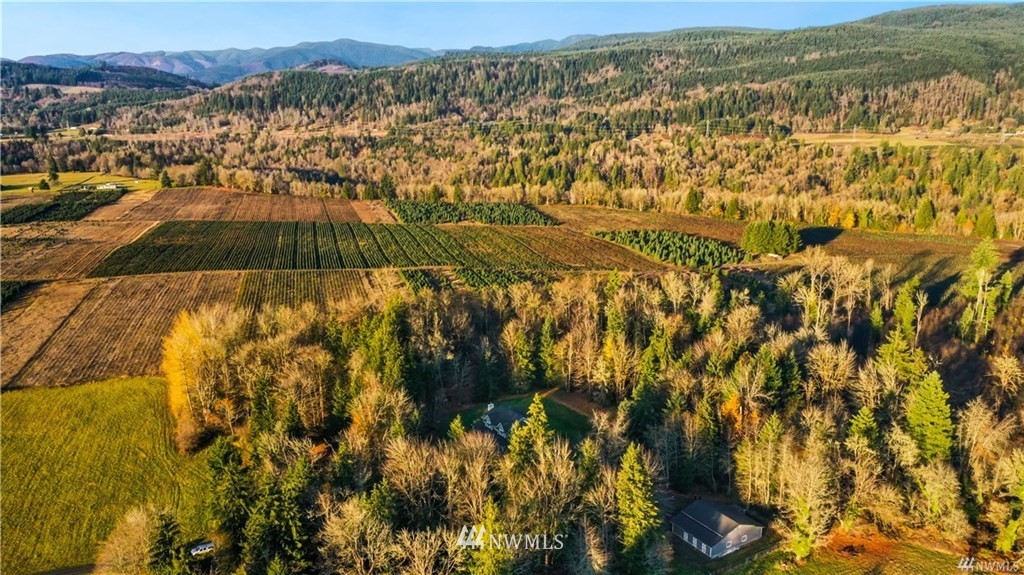 164 Damron Road Mossyrock, WA 98564 - Photo 22 of 22 Gallery Image 22