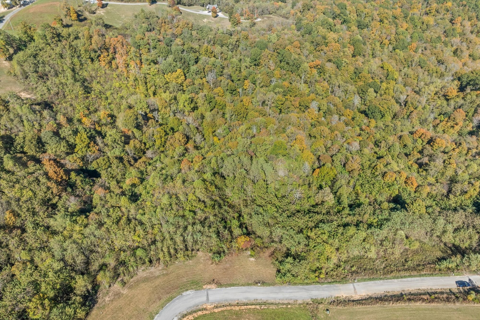 0 Rockfish Road Celina, TN 38551 - Photo 6 of 8 Gallery Image 6
