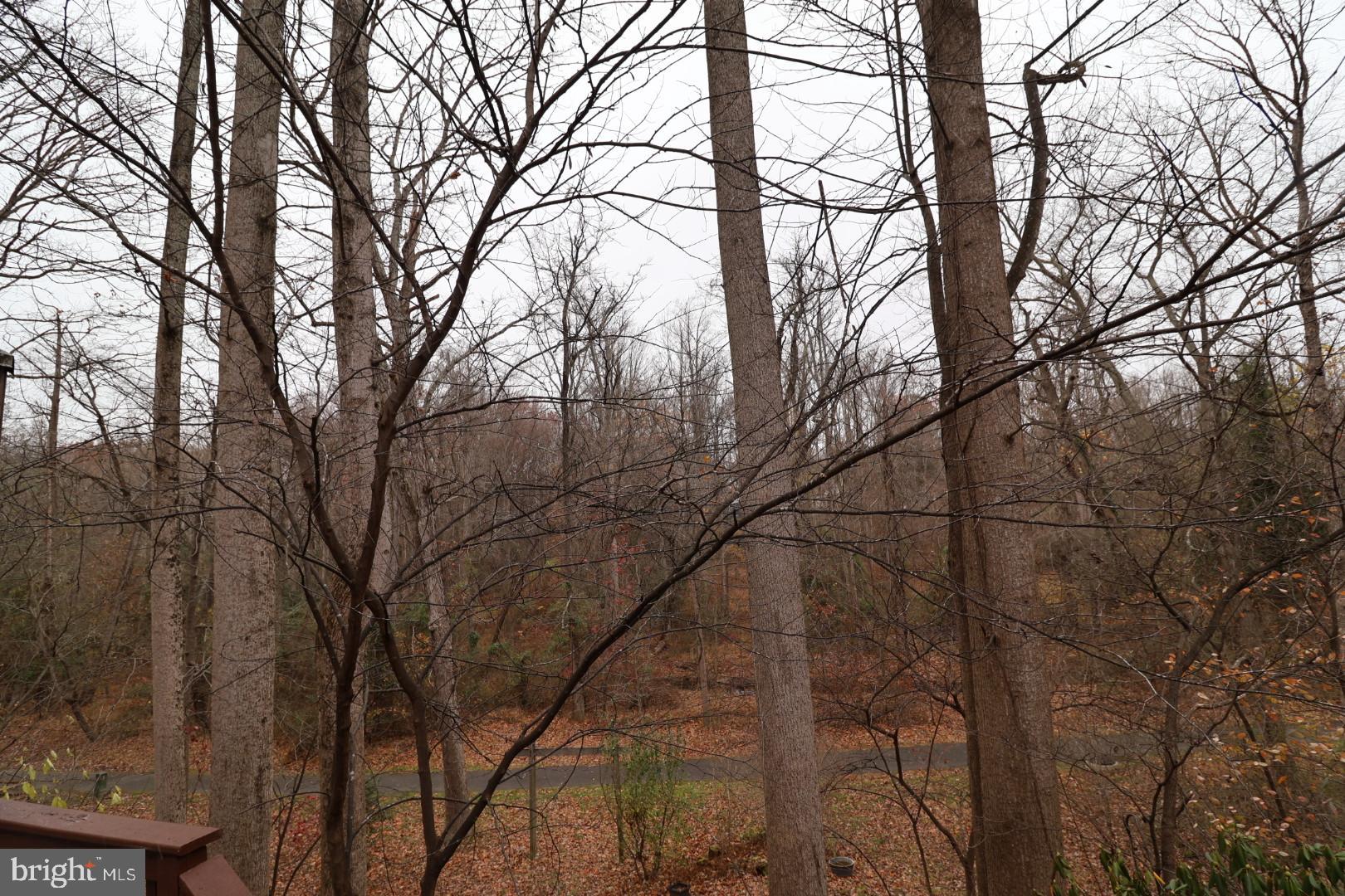 11312 Myrtle Lane Reston, VA 20191 - Photo 6 of 24