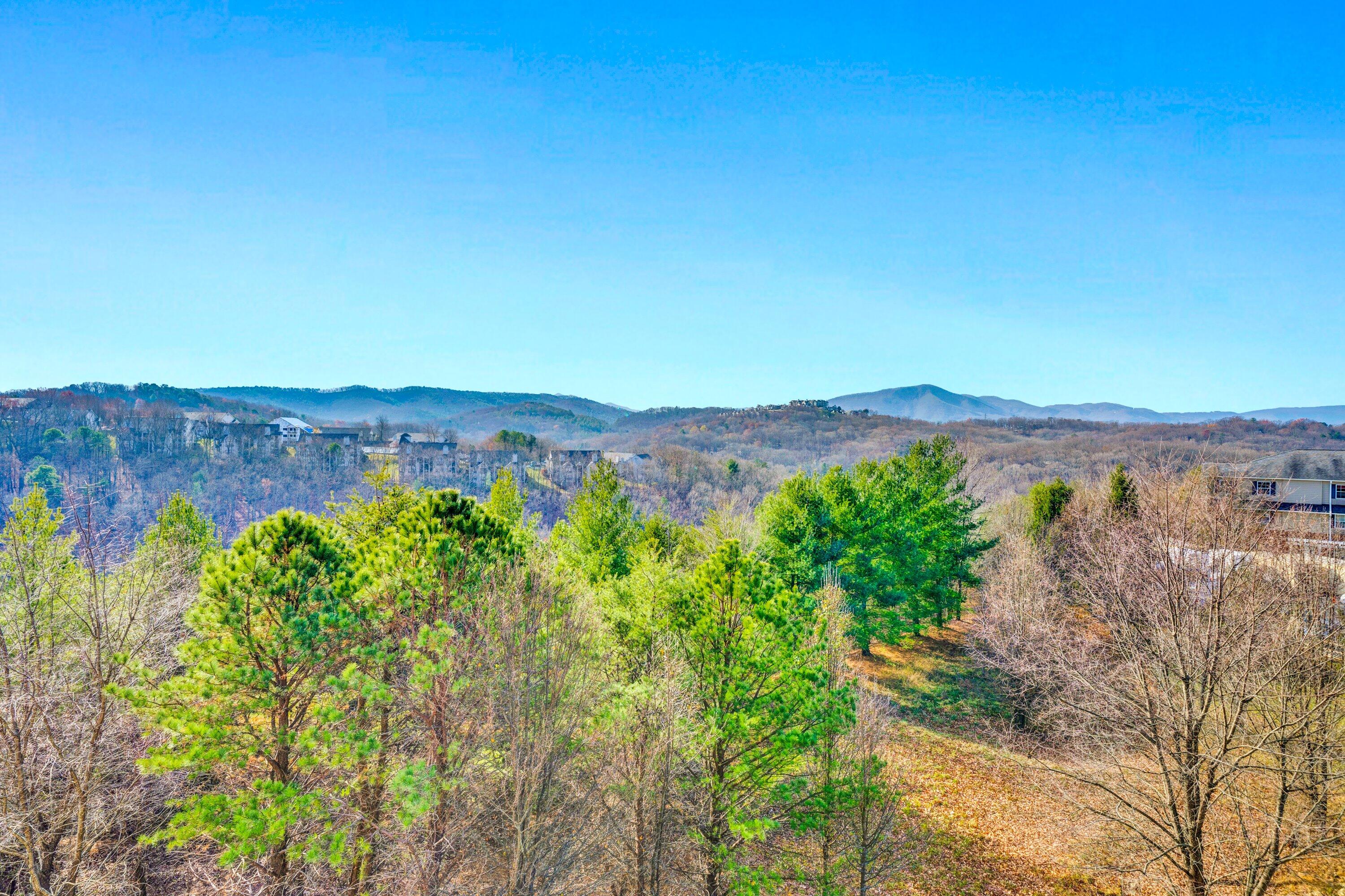 4438 Pheasant Ridge Road, Unit 206 Roanoke, VA 24014 - Photo 28 of 46 28-DSC00211