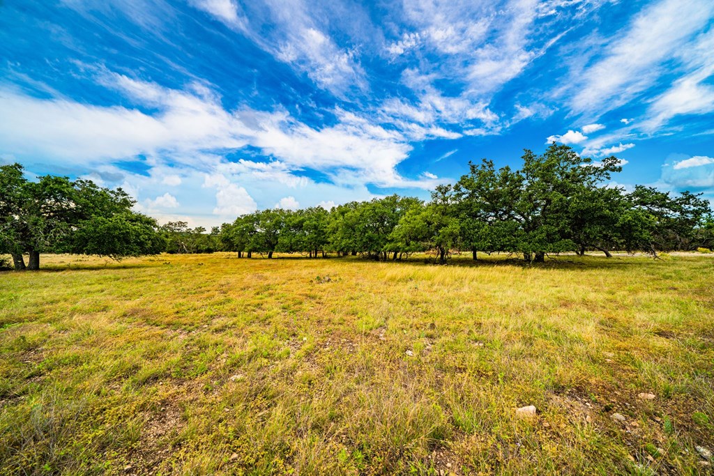 Lot 18 Reservation Road, Unit 18 Harper, TX 78631 - Photo 2 of 5 Gallery Image 2