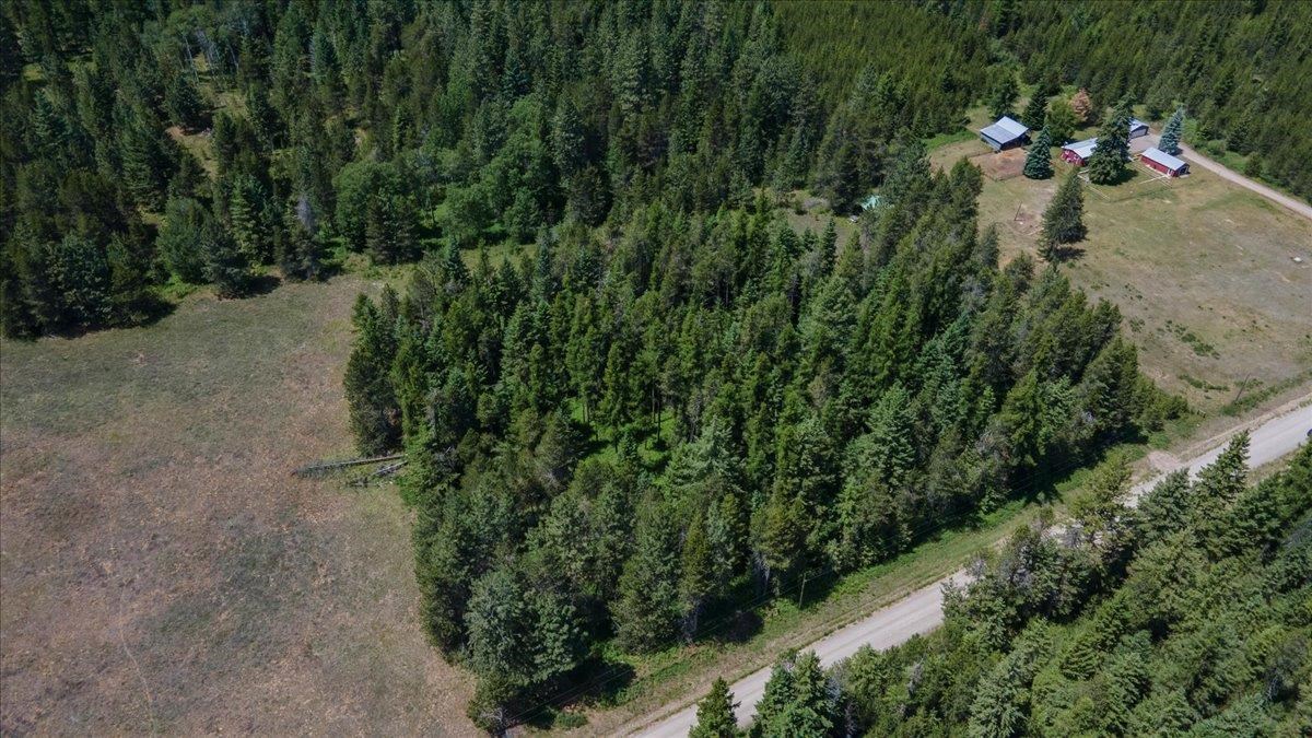 4859 Redman Road Clayton, WA 99110 - Photo 3 of 11