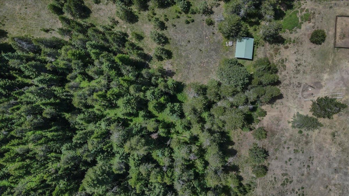 4859 Redman Road Clayton, WA 99110 - Photo 4 of 11