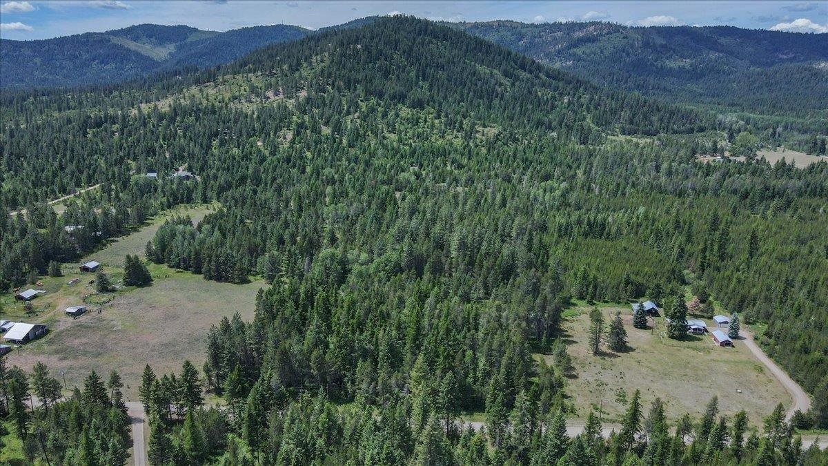 4859 Redman Road Clayton, WA 99110 - Photo 7 of 11