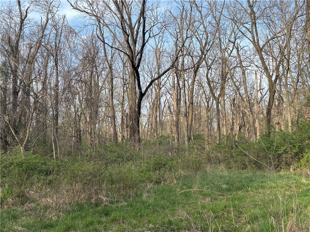 Applegate Road Bridgeport, IL 62417 - Photo 3 of 17