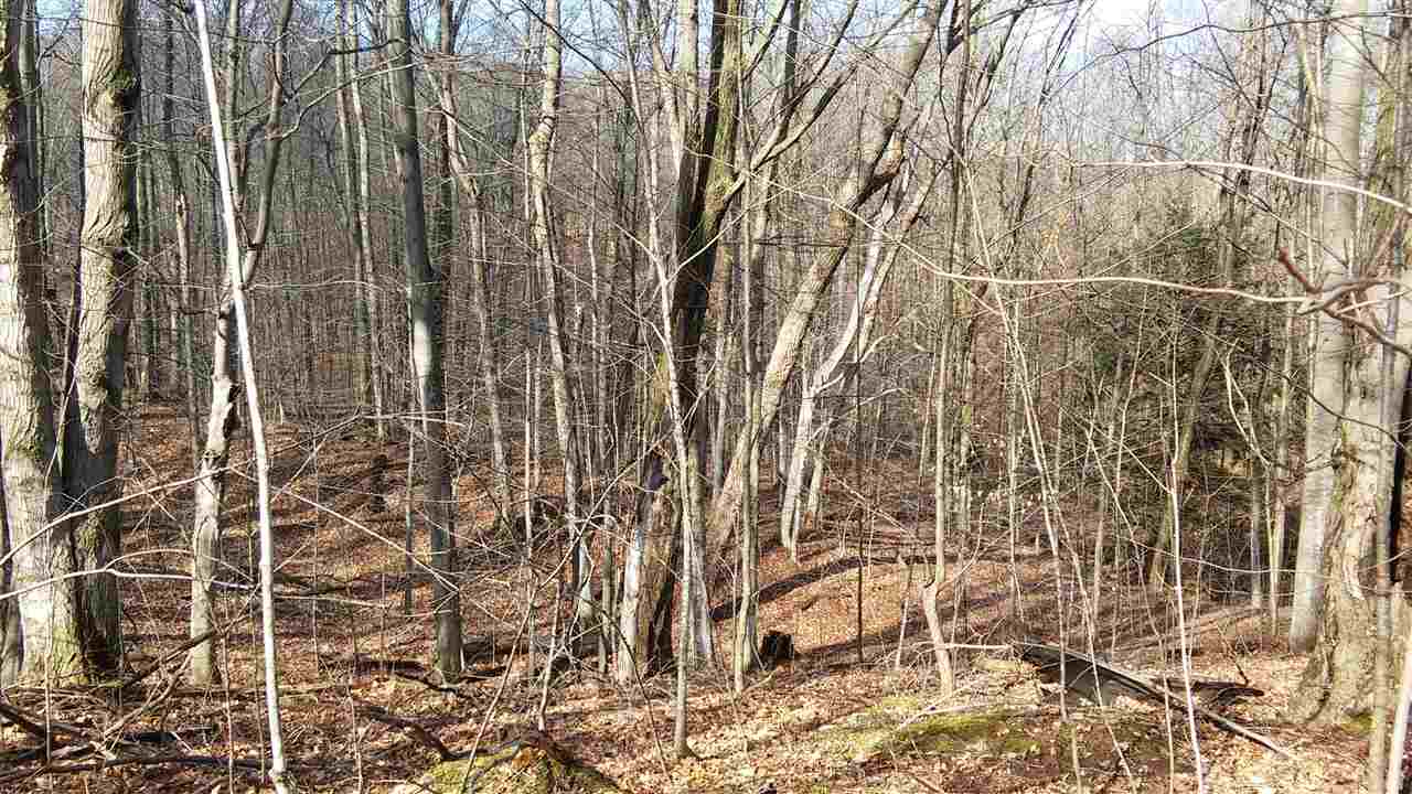 910 Nugent Road Frankfort, MI 49635 - Photo 36 of 38 1813742-36.JPG