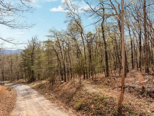 $70,000 | Lot 21 Mockingbird Lane, Luray, VA 22835