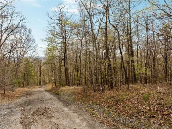 $70,000 | Lot 21 Mockingbird Lane, Luray, VA 22835