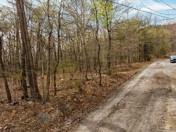 $70,000 | Lot 21 Mockingbird Lane, Luray, VA 22835