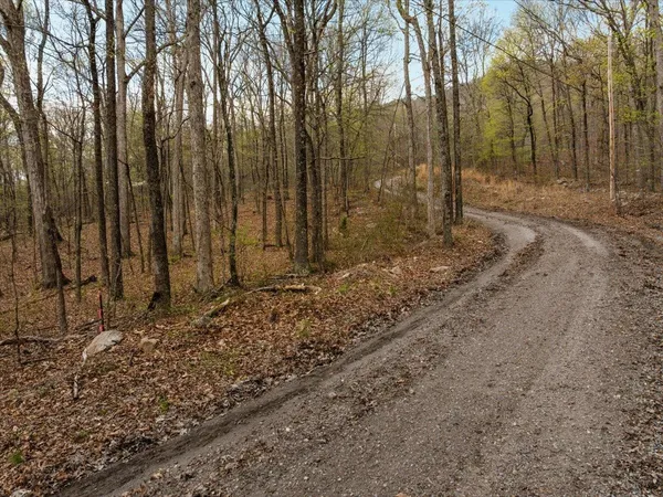 $70,000 | Lot 21 Mockingbird Lane, Luray, VA 22835