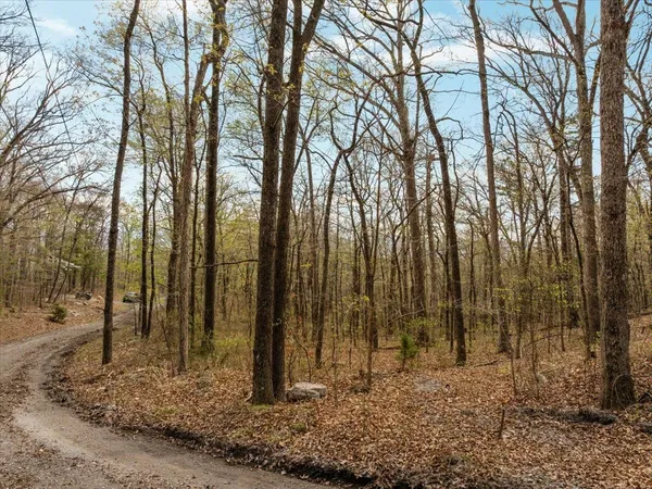 $70,000 | Lot 21 Mockingbird Lane, Luray, VA 22835