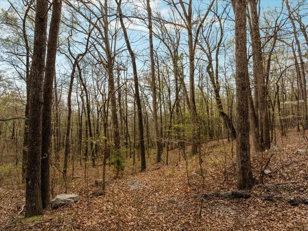 $70,000 | Lot 21 Mockingbird Lane, Luray, VA 22835