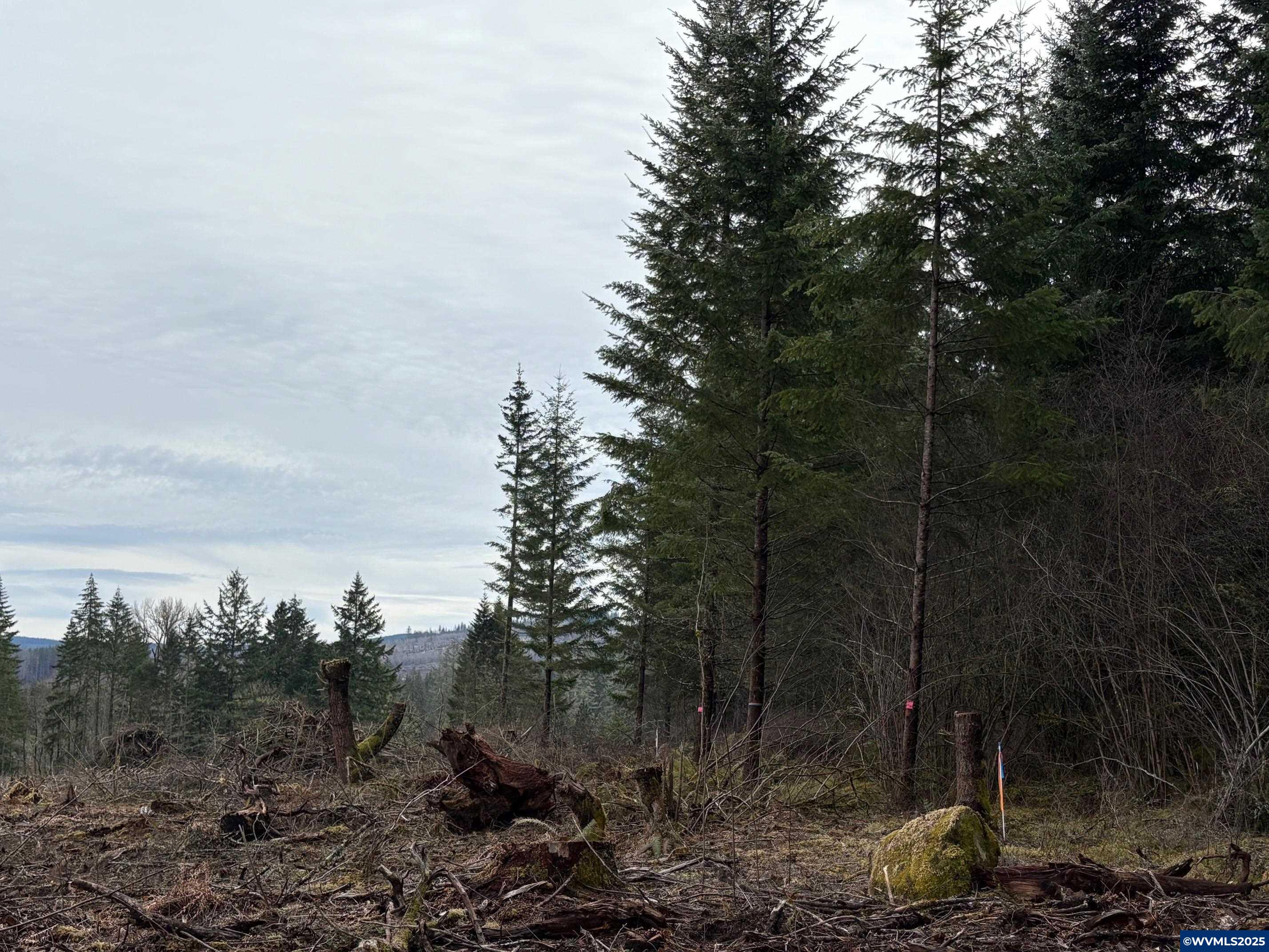 0 South Hardy Road Molalla, OR 97038 - Photo 5 of 26