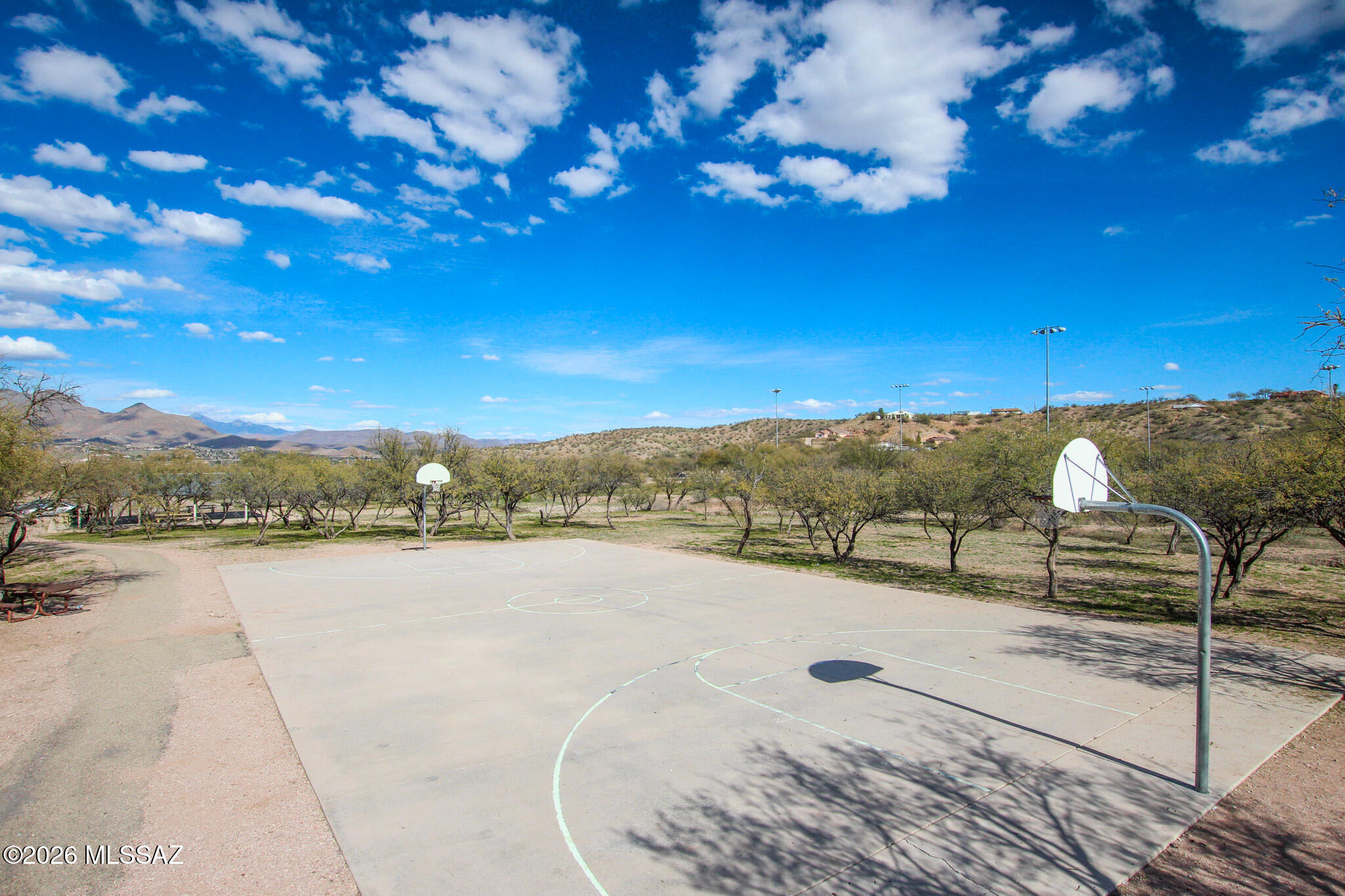992 Paseo Lobo Rio Rico, AZ 85648 - Photo 32 of 32 992 Basketball