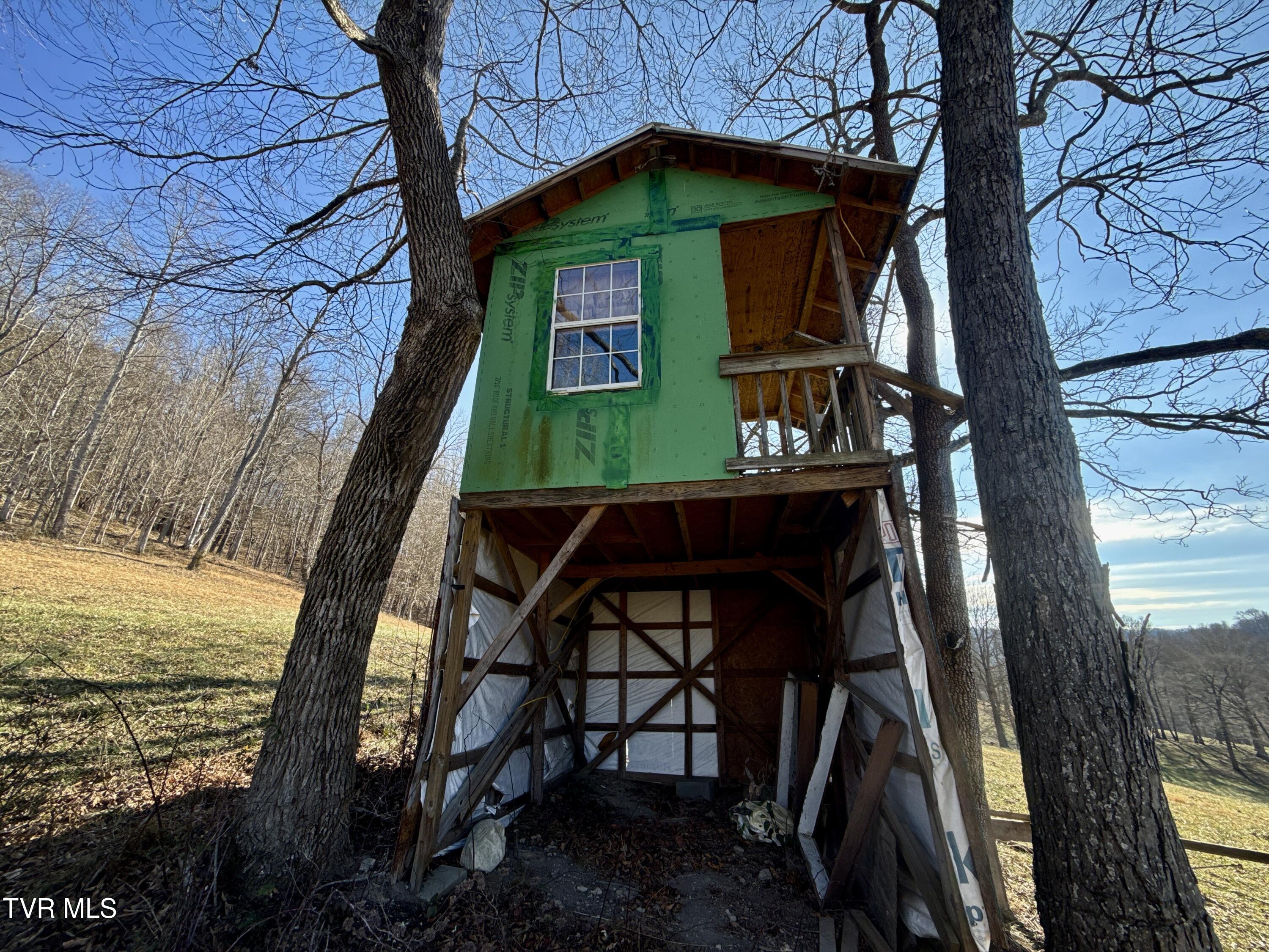 219 Ridge Road Eidson, TN 37731 - Photo 55 of 72 _Pic44 (14)