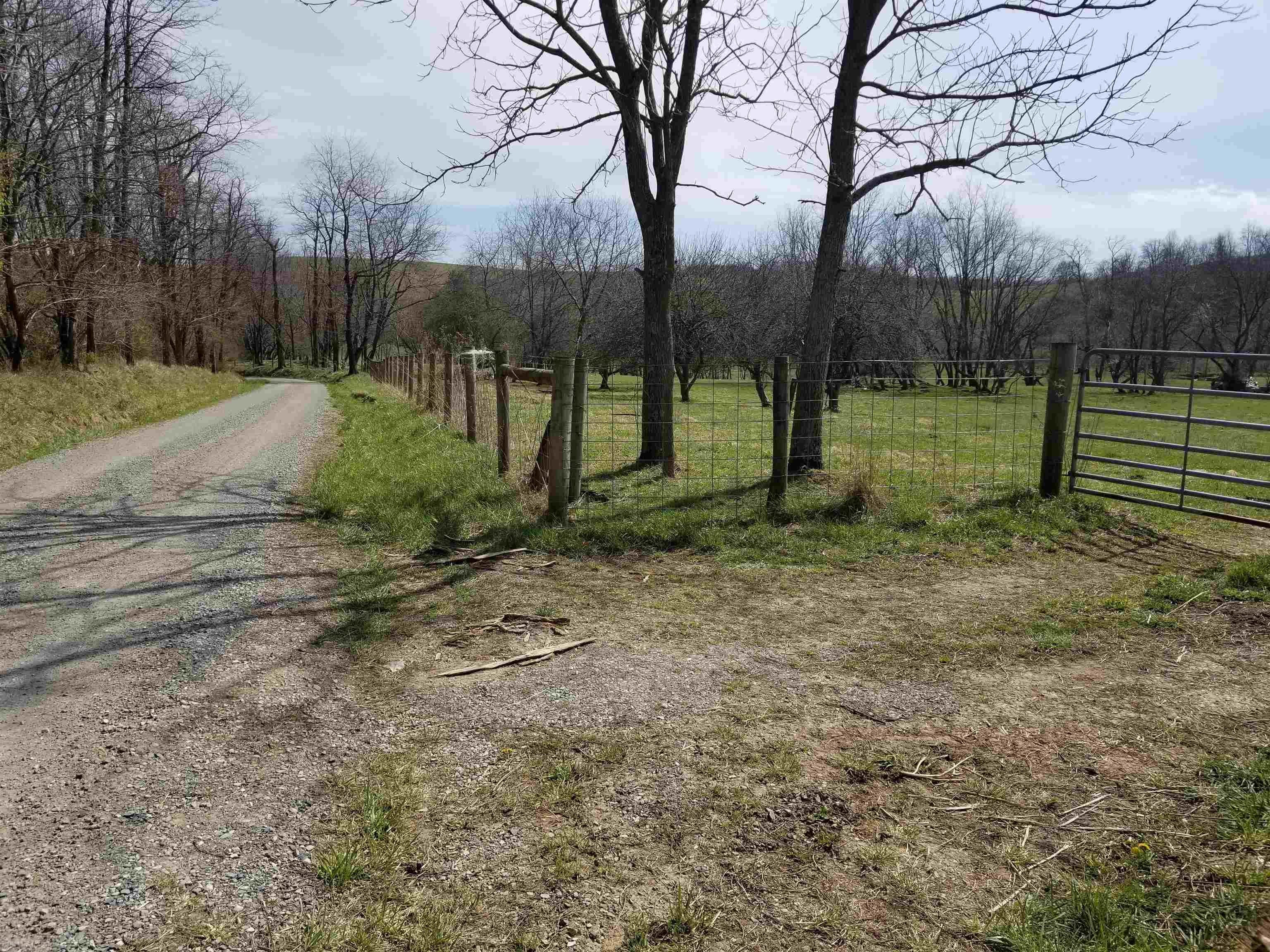 Tbd Montague Road Dublin, VA 24084 - Photo 3 of 10 Gallery Image 3