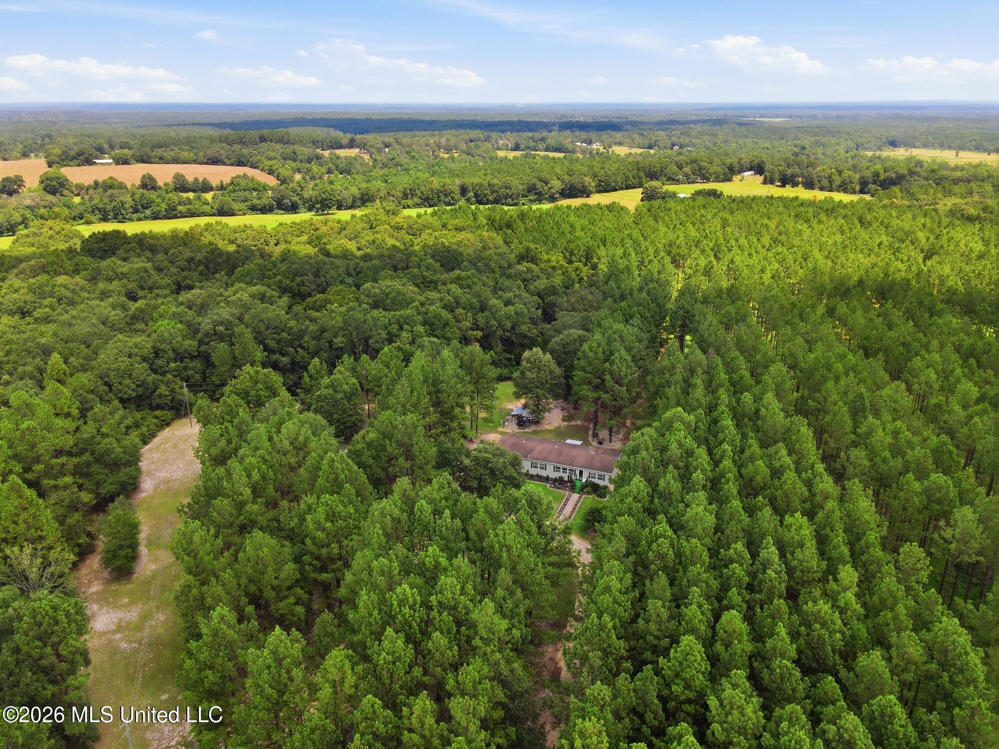 368 Otho Davis Road Lumberton, MS 39455 - Photo 32 of 40 34_dji_0038
