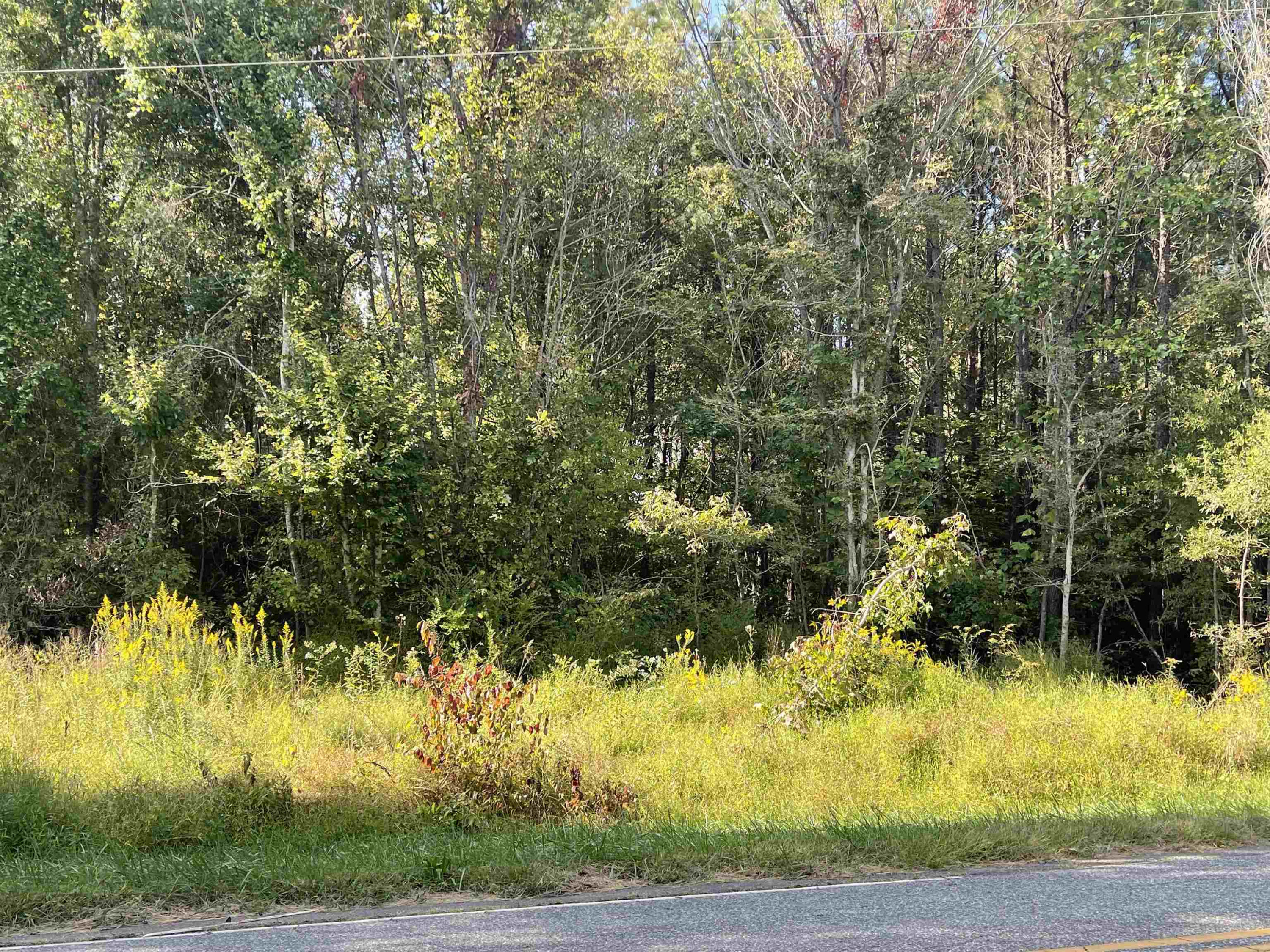 2389 Bowers Store Road Siler City, NC 27344 - Photo 1 of 5 Photo 1