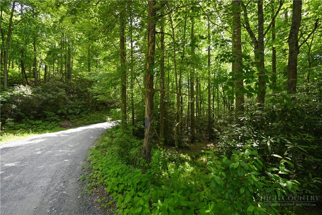 Lot 2 Gusher Knob Road Newland, NC 28657 - Photo 9 of 17