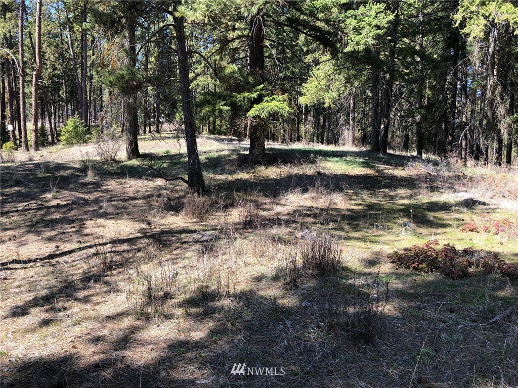 3 Ranch Road Cle Elum, WA 98922 - Photo 11 of 12 Gallery Image 11