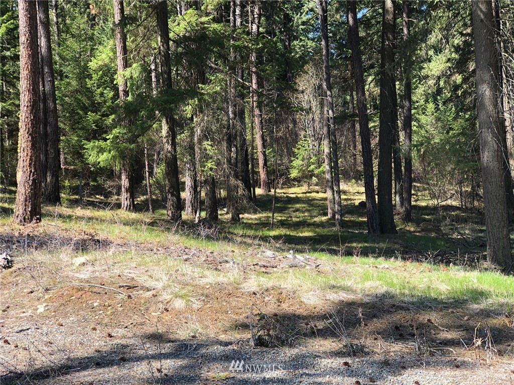 3 Ranch Road Cle Elum, WA 98922 - Photo 12 of 12 Gallery Image 12