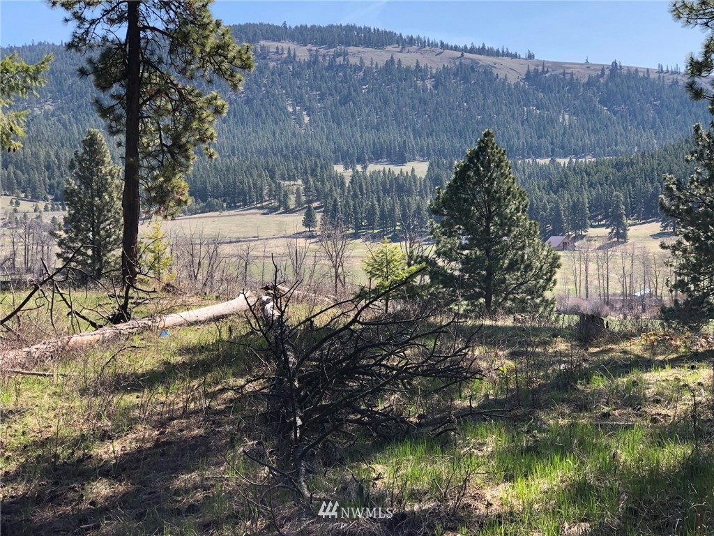 3 Ranch Road Cle Elum, WA 98922 - Photo 3 of 12 Gallery Image 3