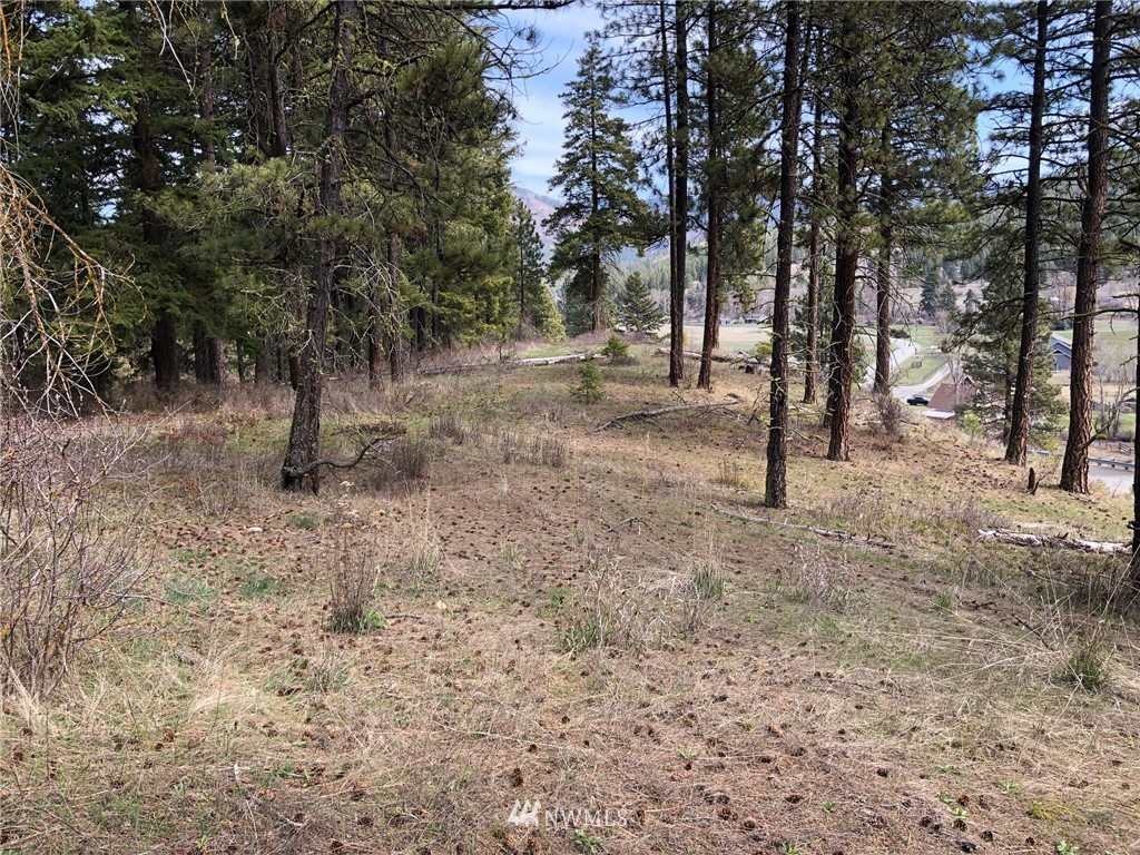 3 Ranch Road Cle Elum, WA 98922 - Photo 4 of 12 Gallery Image 4