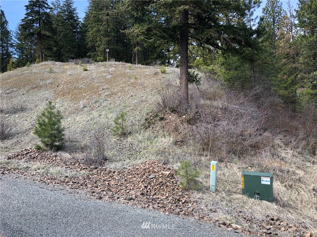 3 Ranch Road Cle Elum, WA 98922 - Photo 5 of 12 Gallery Image 5