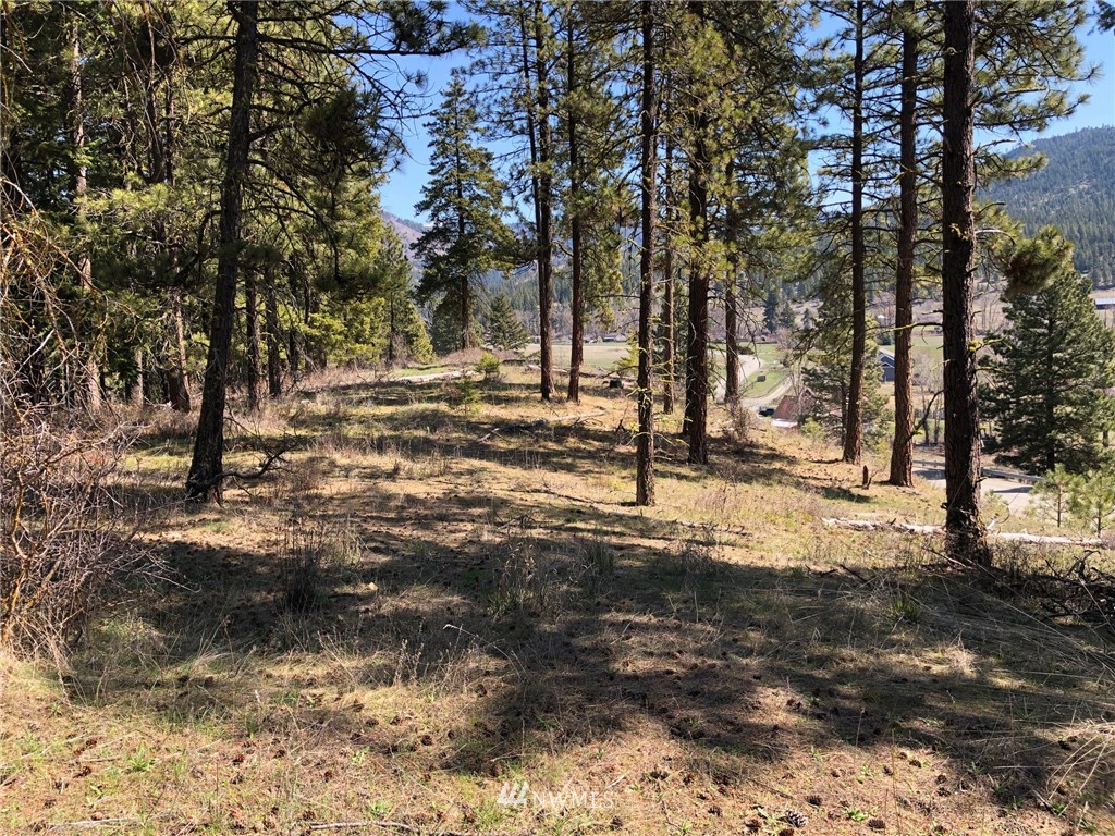 3 Ranch Road Cle Elum, WA 98922 - Photo 6 of 12 Gallery Image 6
