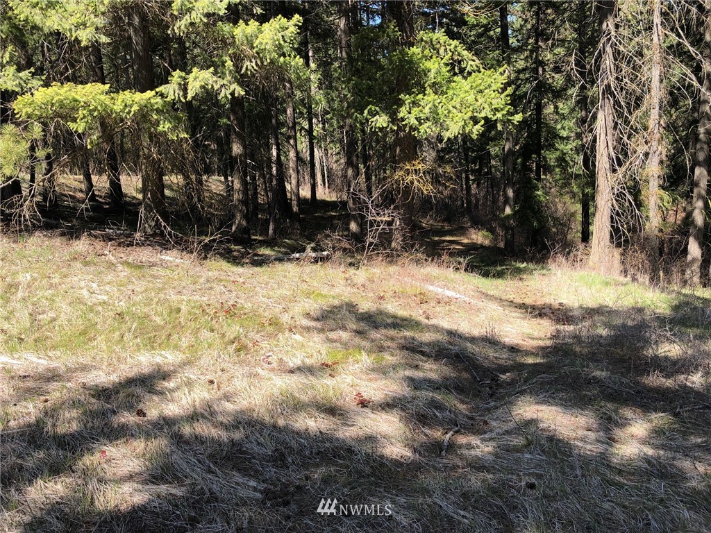 3 Ranch Road Cle Elum, WA 98922 - Photo 7 of 12 Gallery Image 7