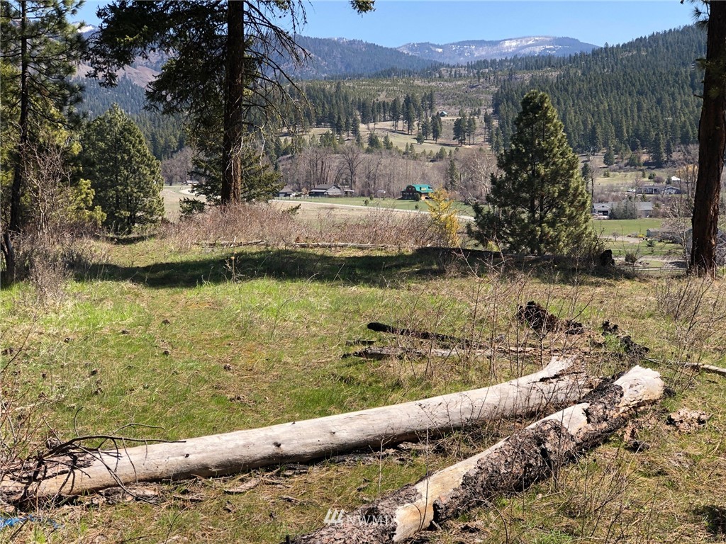 3 Ranch Road Cle Elum, WA 98922 - Photo 9 of 12 Gallery Image 9