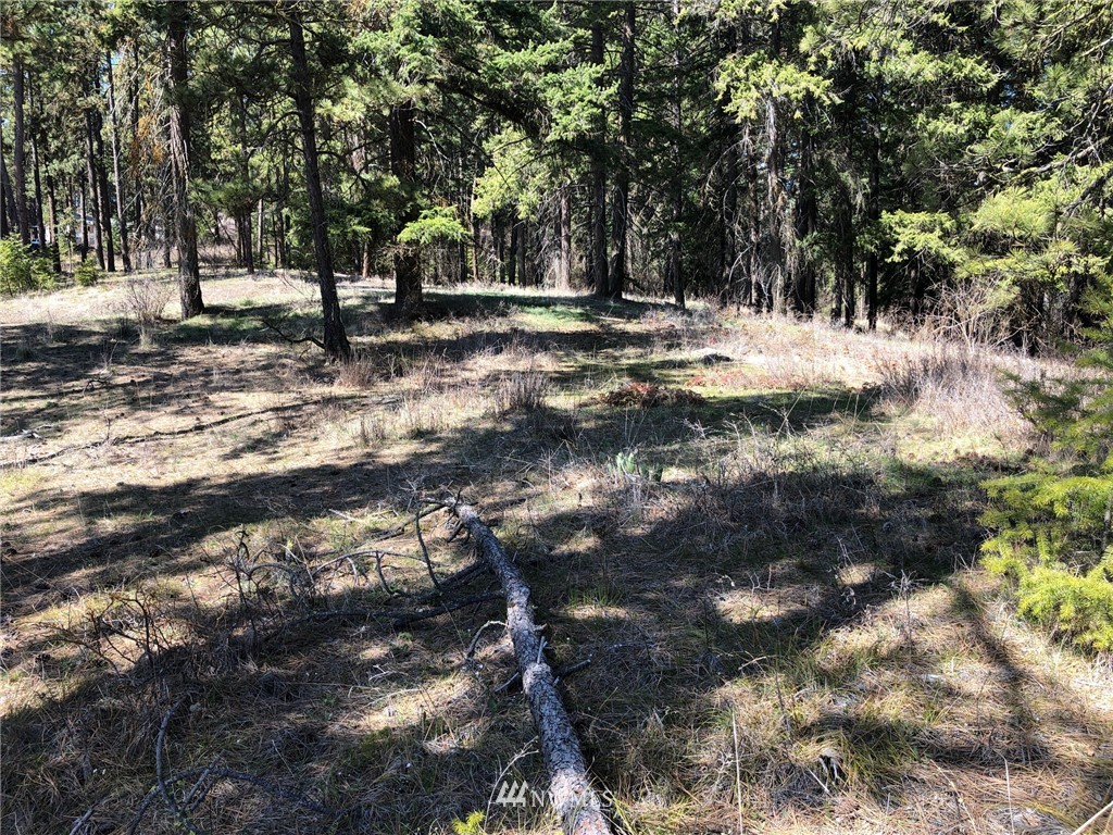 3 Ranch Road Cle Elum, WA 98922 - Photo 10 of 12 Gallery Image 10