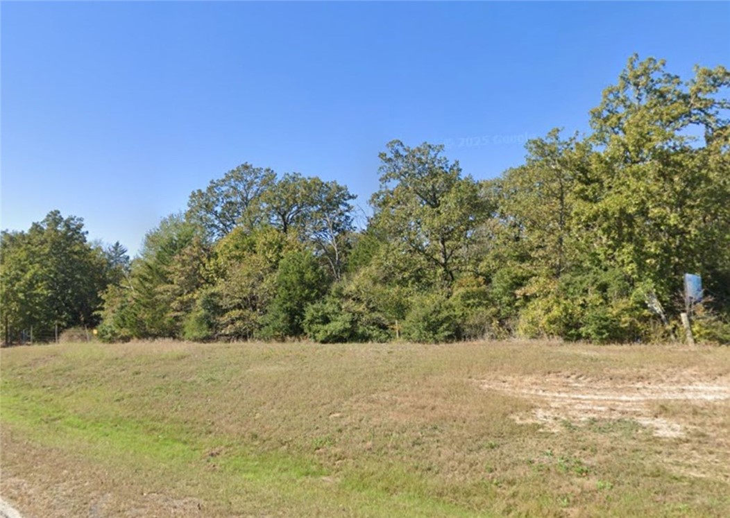 0 Foster Road Bryan, TX 77807 - Photo 4 of 7 a view of mountain view with mountain view